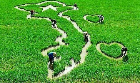 Đất nước (Bài đọc hiểu tiếng Việt lớp 5 - đề số 26 - luyện đọc hiểu thi học sinh giỏi)